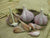 Hardneck Garlic - Chesnok Red, ORGANIC - Sow True Seed