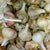 Hardneck Garlic - German White, ORGANIC - Sow True Seed