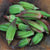 Okra Seeds - Hill Country Red - Sow True Seed