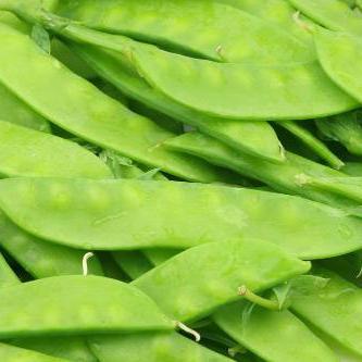 Snow Pea - Dwarf Grey Sugar - Sow True Seed