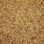 Sprouting Seeds - Alfalfa, ORGANIC - Sow True Seed