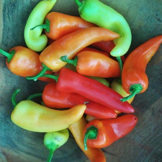 Sweet Pepper Seeds - Sweet Banana - Sow True Seed