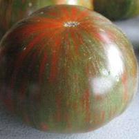Slicing Tomato Seeds - Chocolate Stripes - Sow True Seed