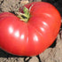 Slicing Tomato Seeds - New Big Dwarf, ORGANIC