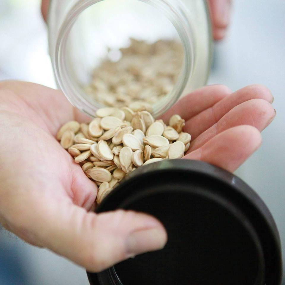 Watermelon Seeds Bradford Family Sow True Seed