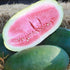Watermelon Seeds - Bradford Family