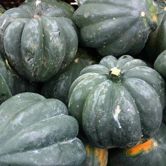 Winter Squash - Table Queen Bush Acorn, ORGANIC - Sow True Seed