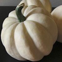 Winter Squash - Thelma Sanders Sweet Potato - Sow True Seed