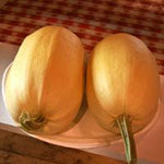 Winter Squash - Vegetable Spaghetti - Sow True Seed