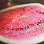 Watermelon - Charleston Grey - Sow True Seed