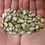 Watermelon Seeds - Ravenscroft - Sow True Seed