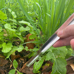 Stainless Steel Widger, Seedling Tool - Sow True Seed