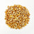 Flint Corn Seeds - Yellow Guinea Flint - Sow True Seed